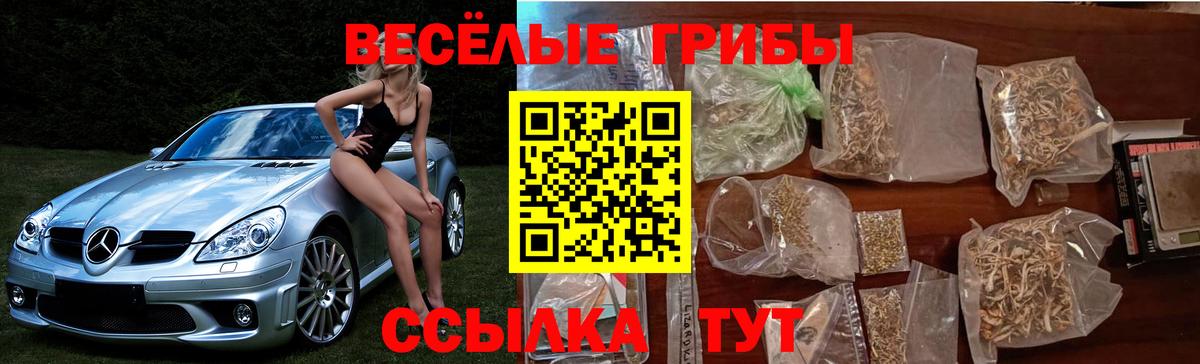 Похвистнево  дарнет шоп  Вход с VPN  Псилоцибиновые грибы Cubensis 